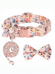 Engravable Dog Collar & Leash Set