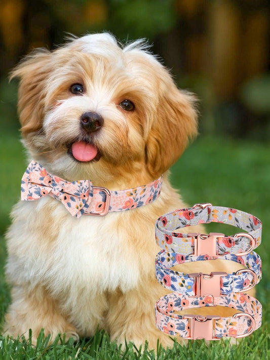 Engravable Dog Collar & Leash Set