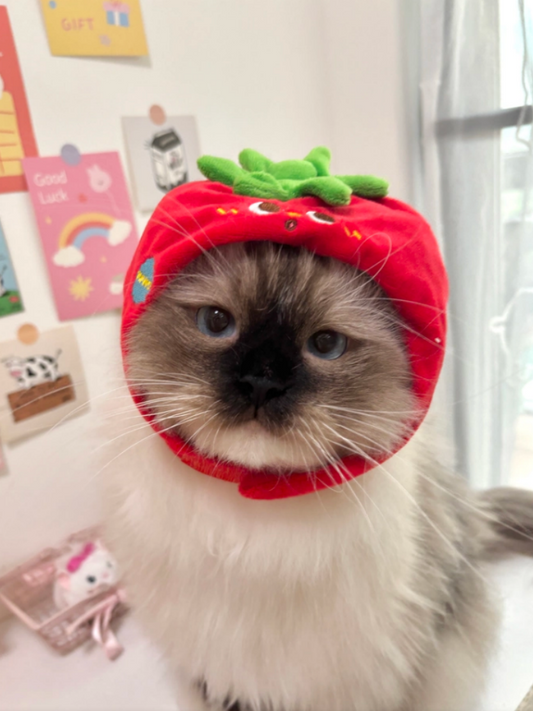 Petit Shope Tomato Plush Pet Headpiece