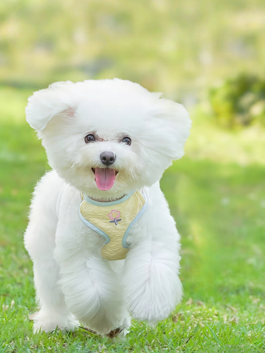 Ultra-Light Two-Piece Floral Harness