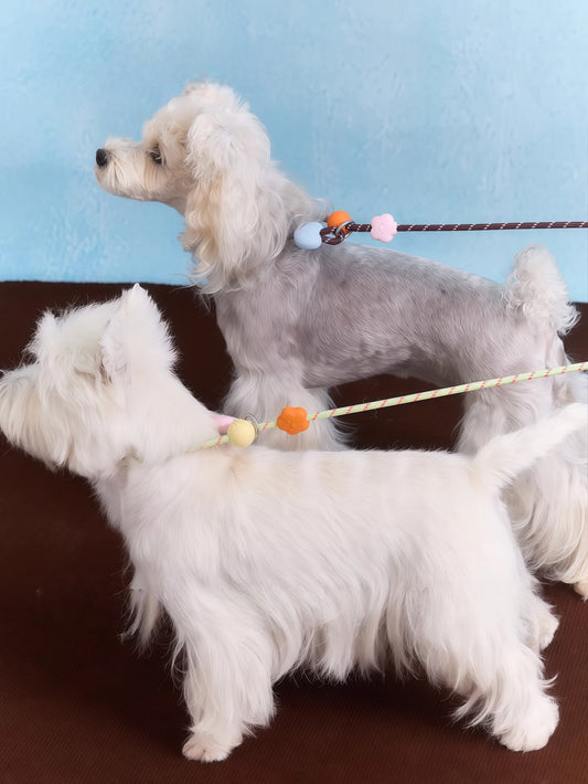 Adjustable Slip Lead Dog Leash