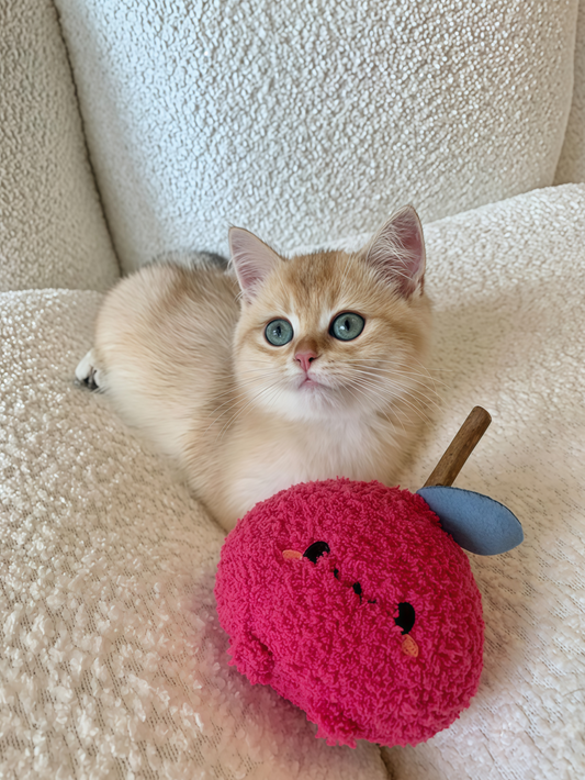 cute onion cat chew toy sparking playful interest from Puff Paw