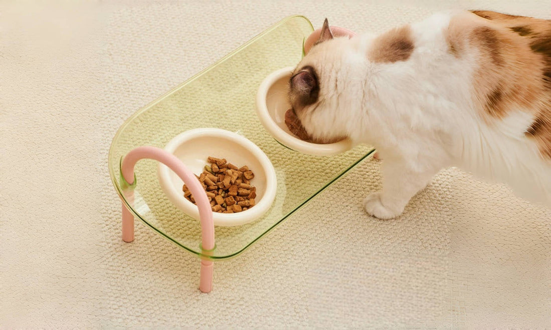 Comfort, Less Mess: Adjustable Anti-Spill Double Pet Bowl