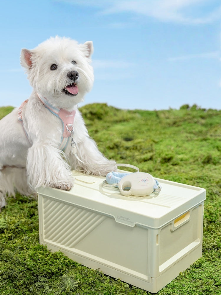 Pocket-Size Freedom: The Mini Retractable Leash for Cats & Small Dogs