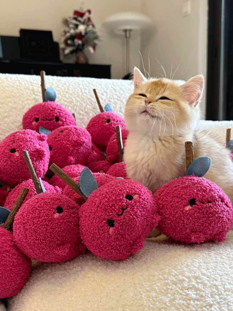 TOOCAT Onion Cat Chew Toy