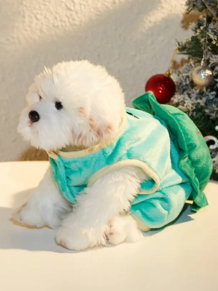 Cute Turtle Pet Costume