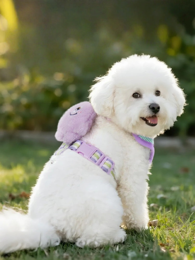 Dopamine Colorblock Breathable Dog Harness & Leash