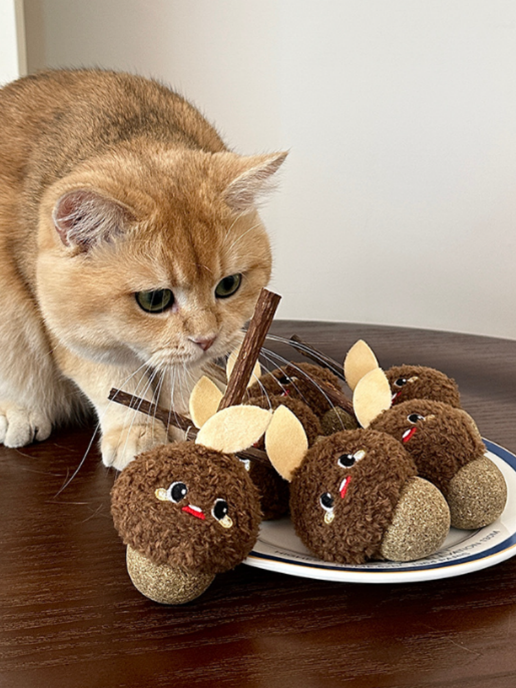 TOOCAT Hazelnut Cat Chew Toy