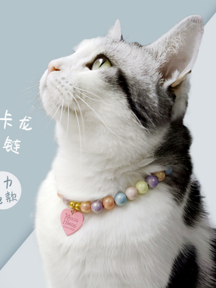 Princess-style Pet Necklace Jewelry