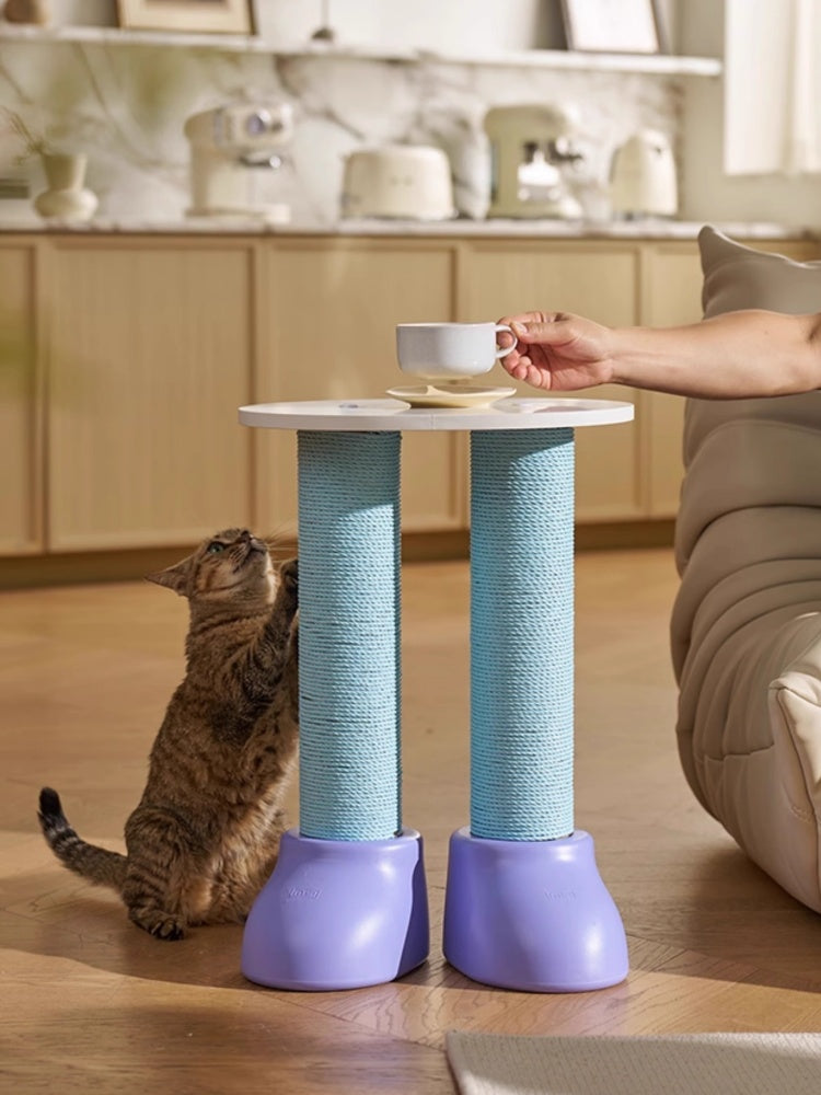3-in-1 Cat Scratching Post