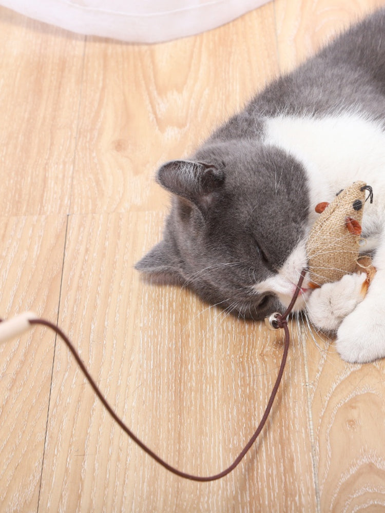 7-Piece Cat Teaser Toy Set