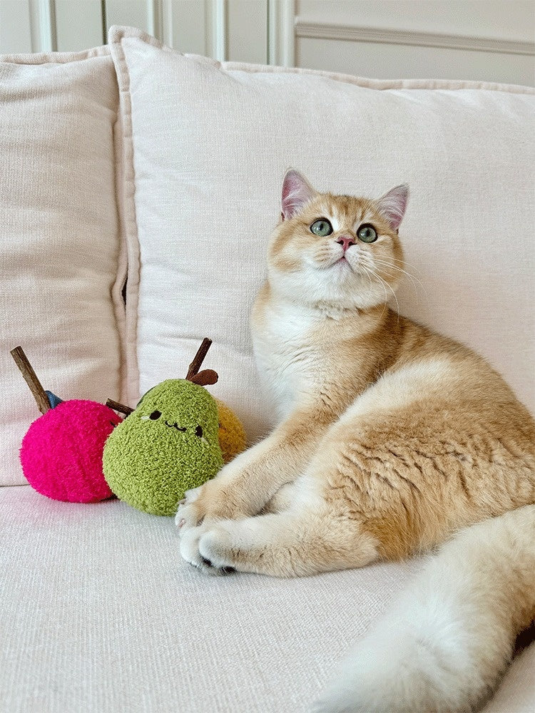 TOOCAT Pear Cat Chew Toy