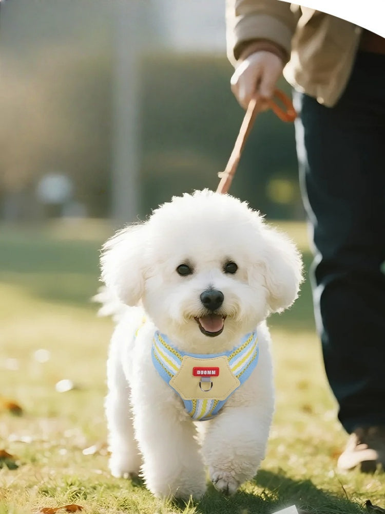 Dopamine Colorblock Breathable Dog Harness & Leash
