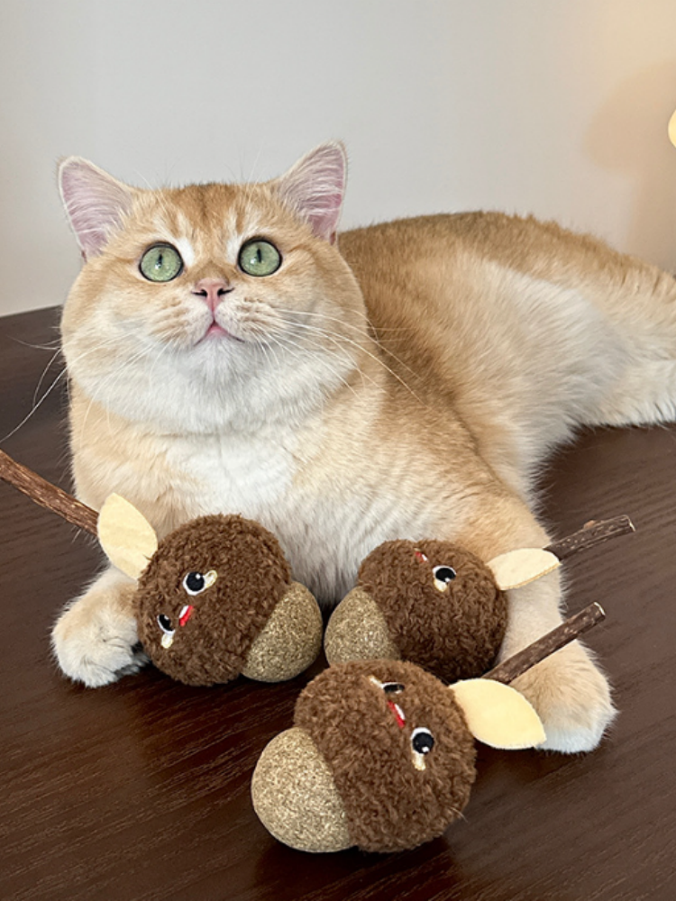 TOOCAT Hazelnut Cat Chew Toy
