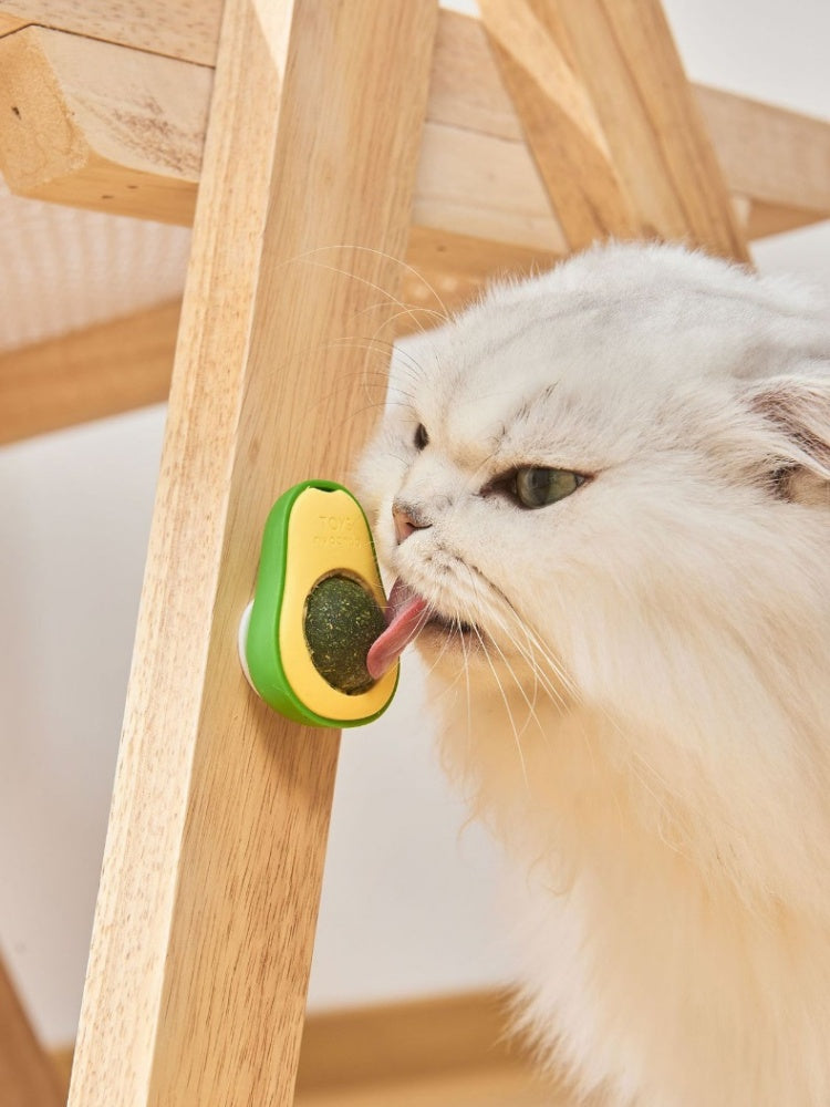 Avocado Catnip Wall Toy