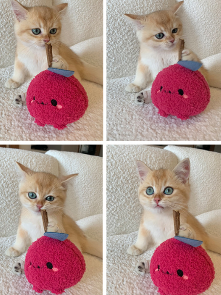 TOOCAT Onion Cat Chew Toy
