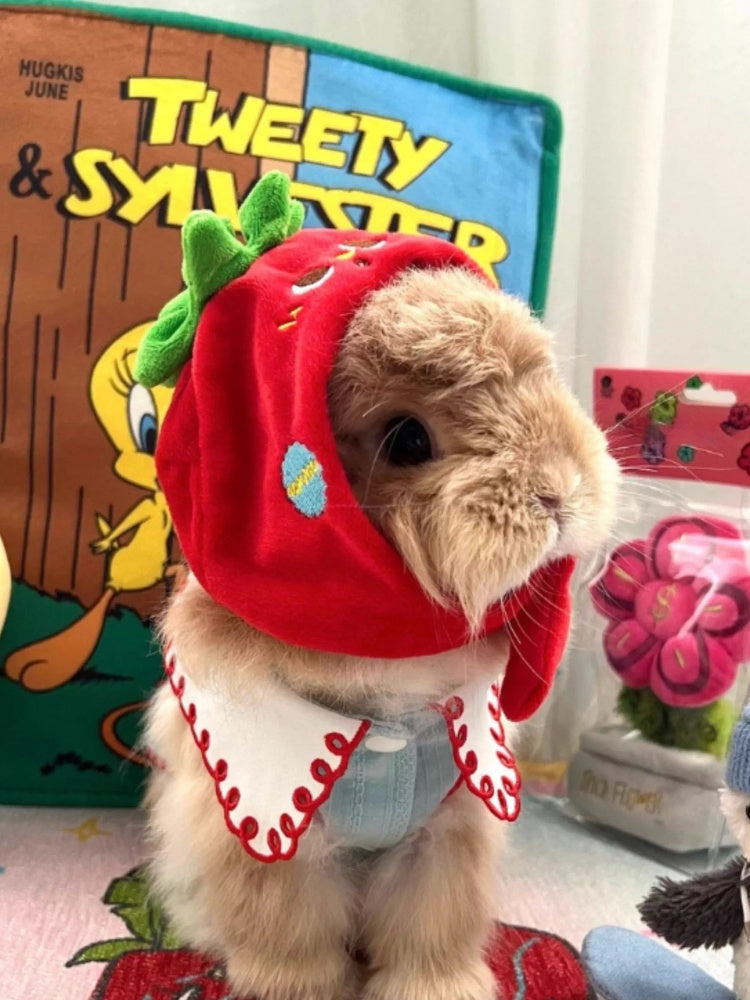 Petit Shope Tomato Plush Pet Headpiece