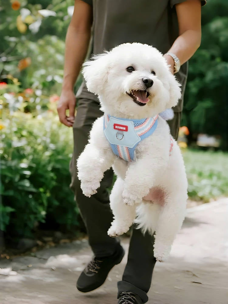 Dopamine Colorblock Breathable Dog Harness & Leash