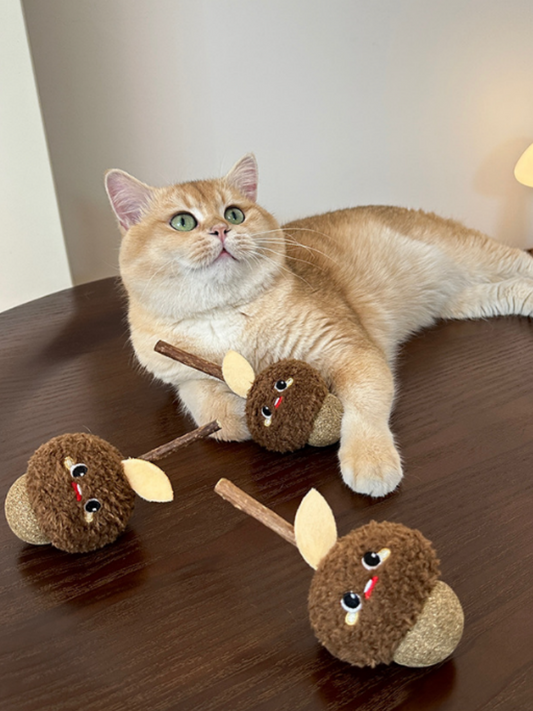 TOOCAT Hazelnut Cat Chew Toy