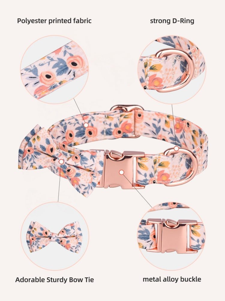 Engravable Dog Collar & Leash Set