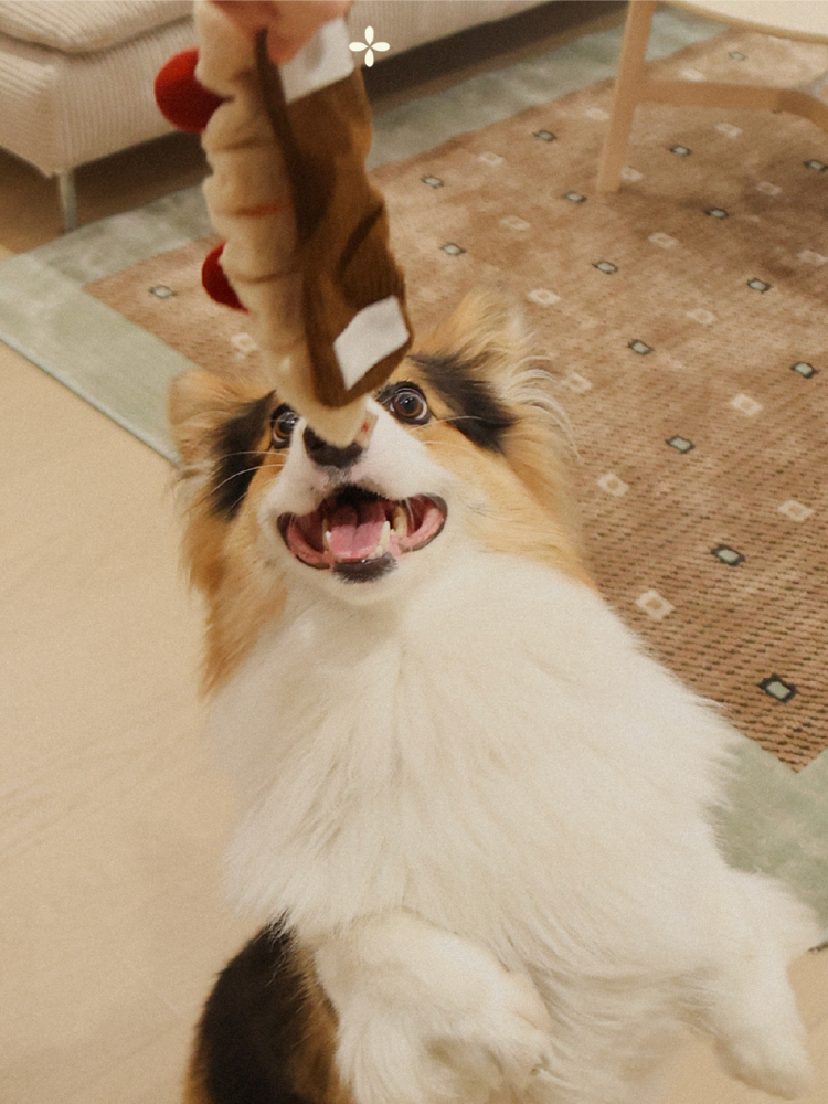 ChicoStudio “Sweet Tea Time” Plush Dog Toy