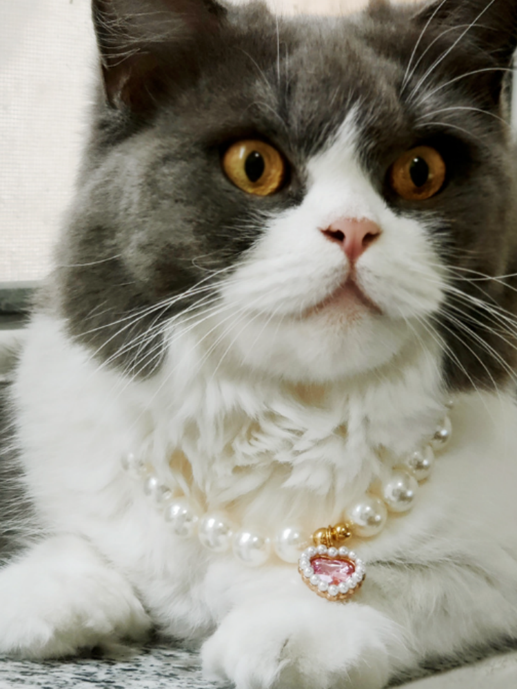Princess-style Pet Necklace Jewelry