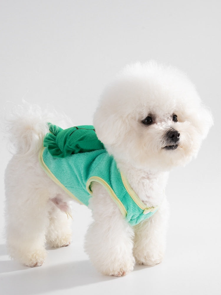 Cute Turtle Pet Costume