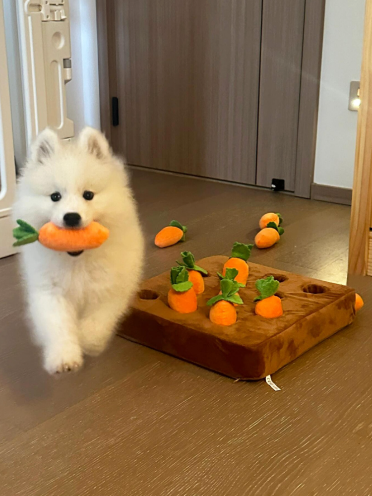 Plush Carrot Snuffle Toy for Dogs