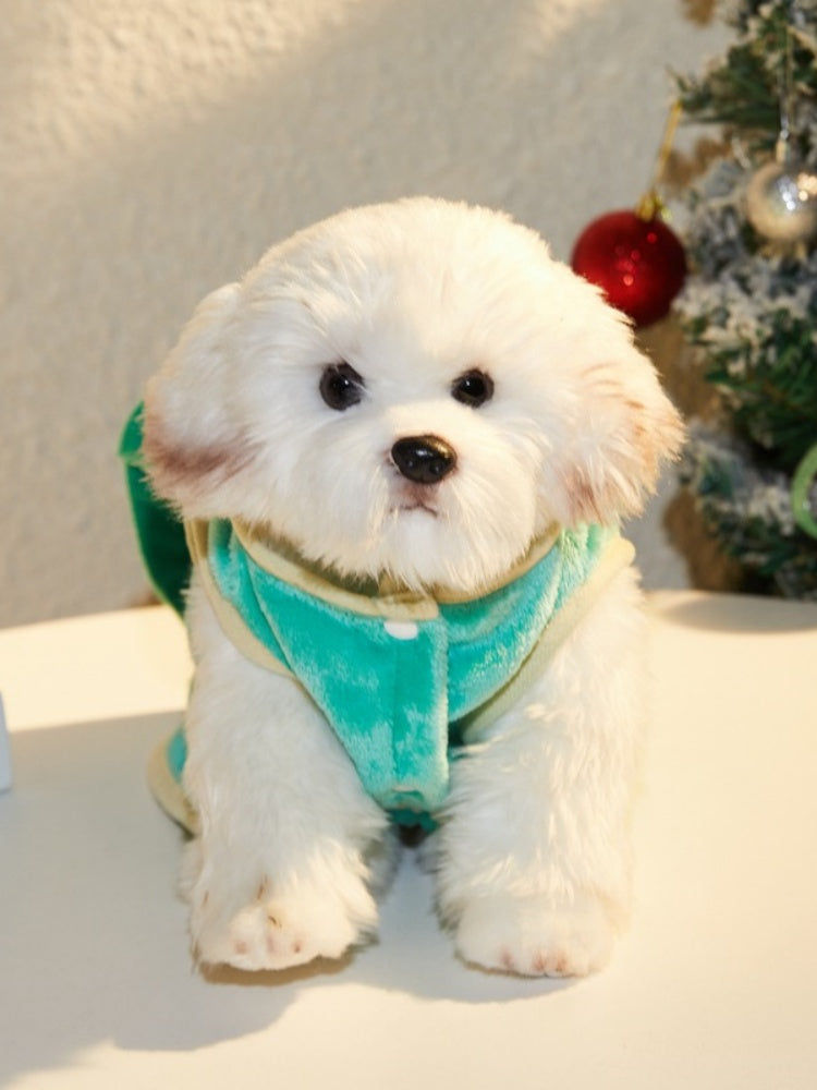 Cute Turtle Pet Costume