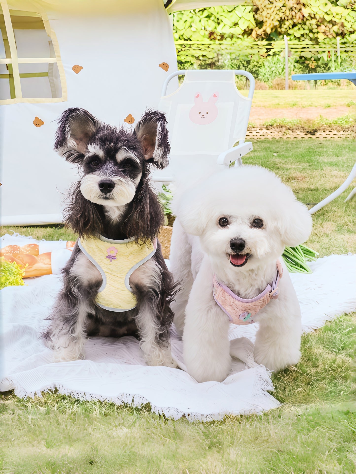 Ultra-Light Two-Piece Floral Harness