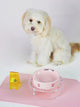 Crystal-Accent Acrylic Elevated Bowl Stand