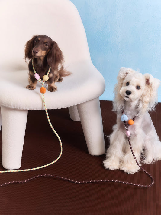 Adjustable Slip Lead Dog Leash