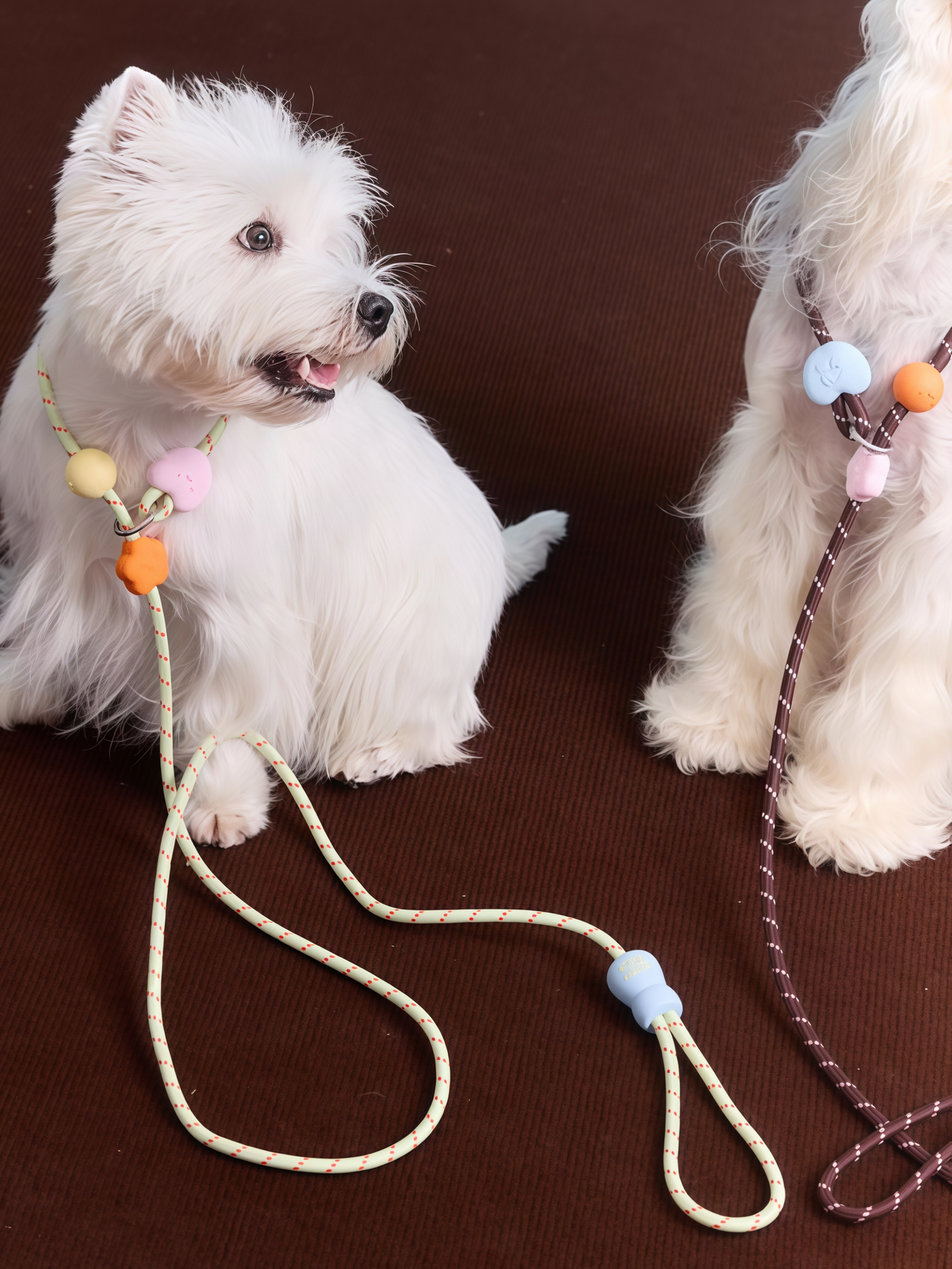 Adjustable Slip Lead Dog Leash