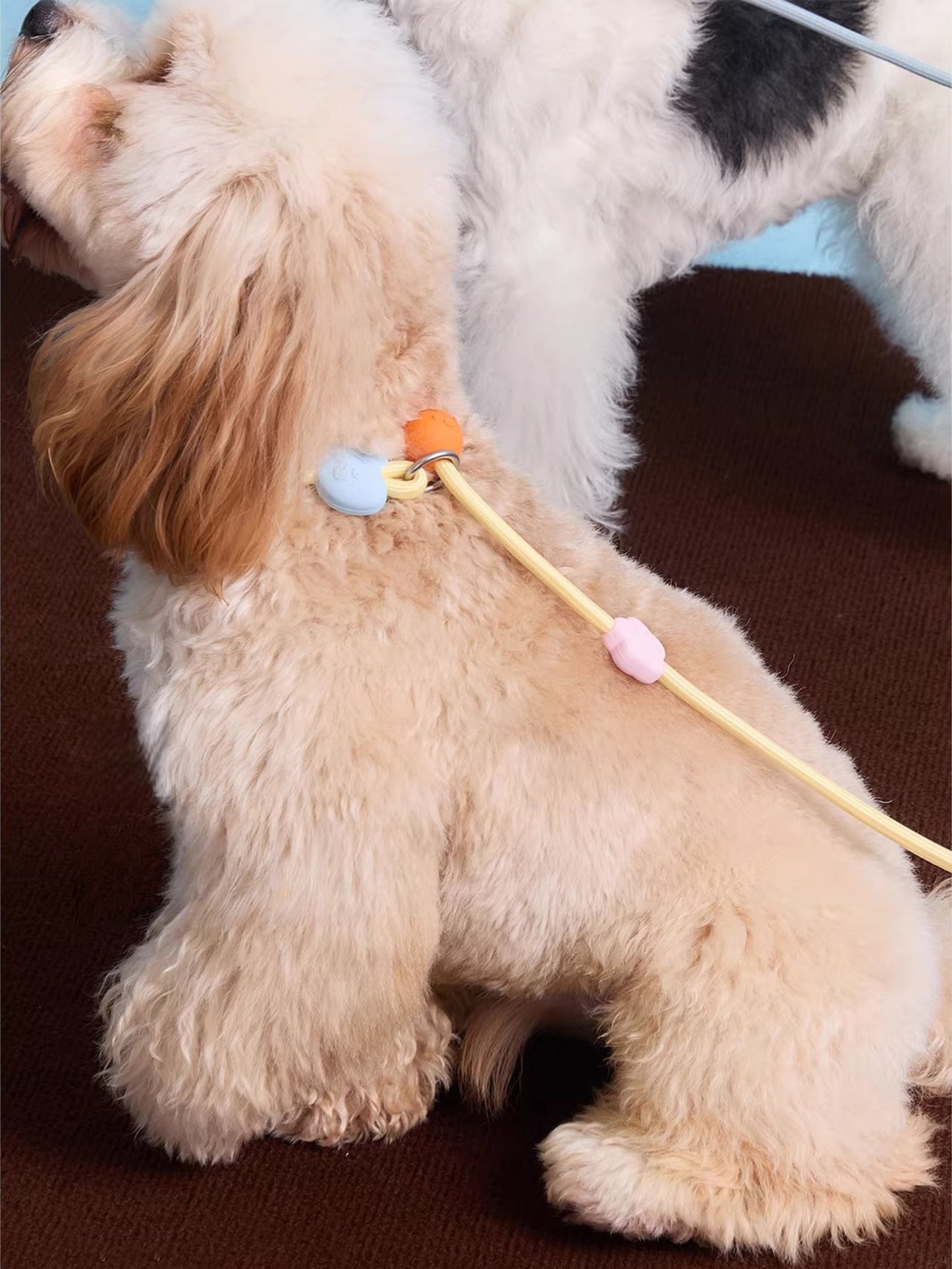 Adjustable Slip Lead Dog Leash