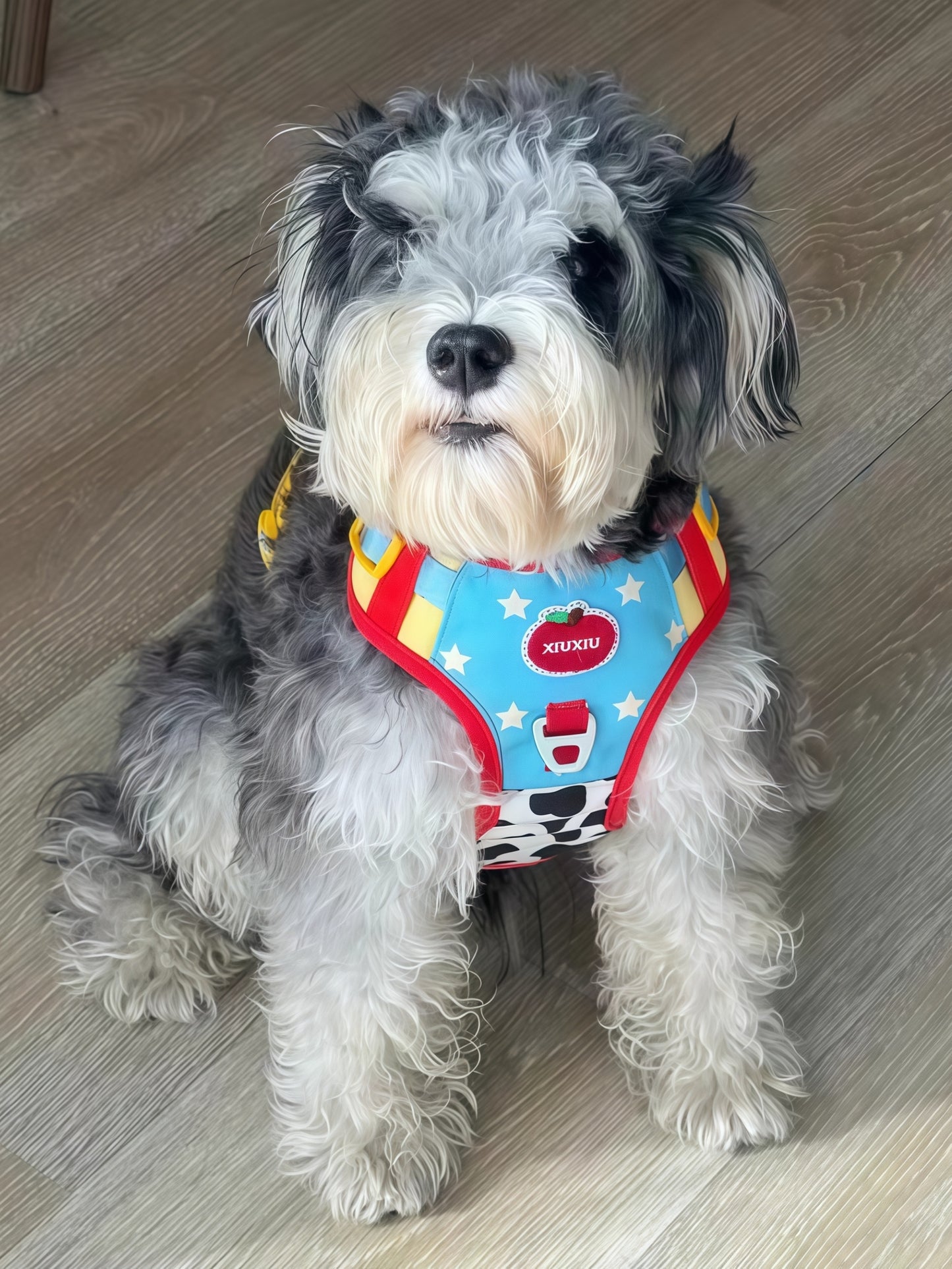 Apple-Print Pet Harness