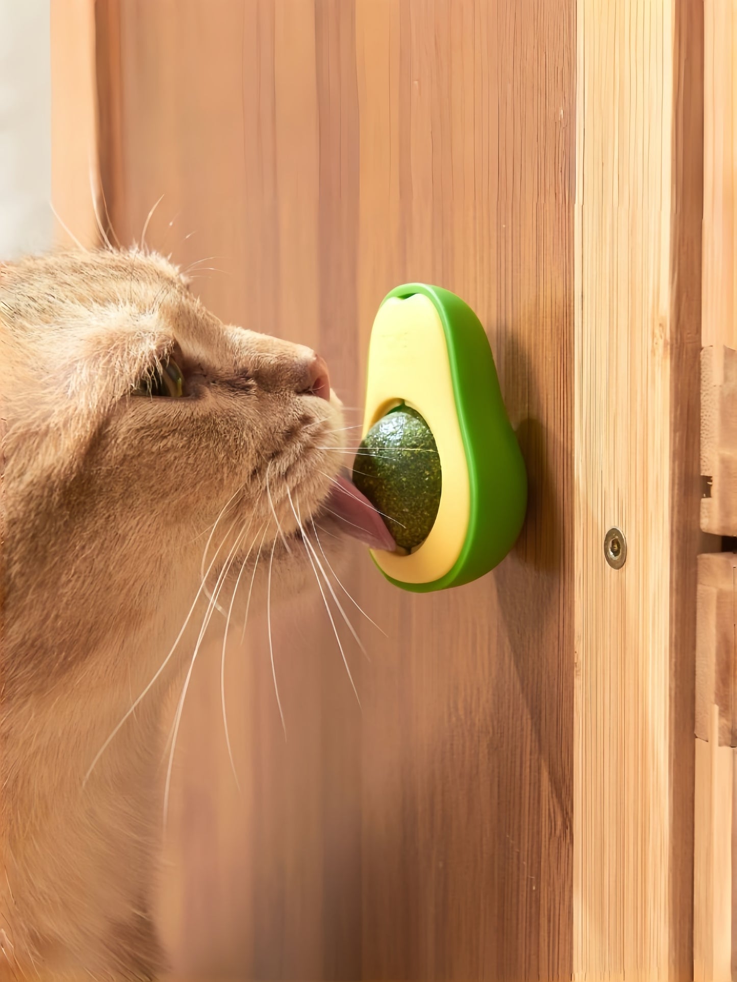 Avocado Catnip Wall Toy