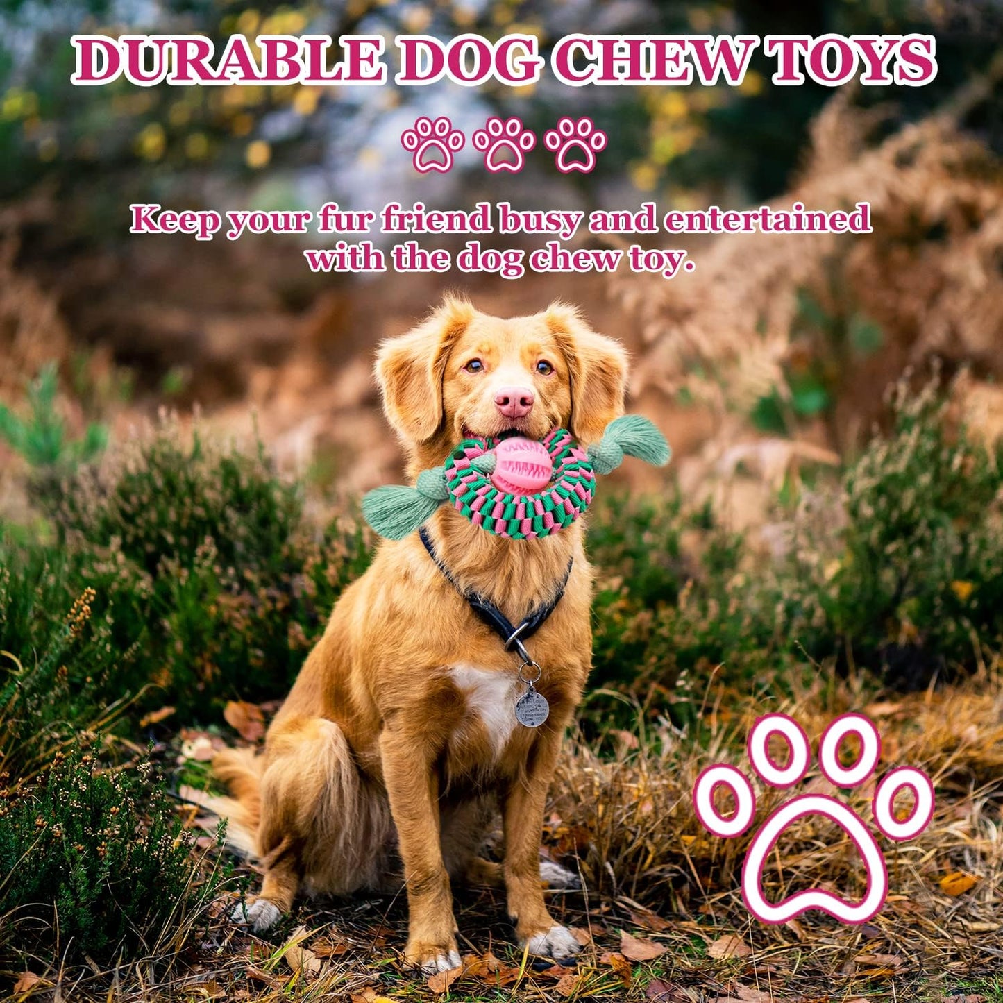 Superior Durable Dog Chew Toy