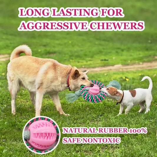 Superior Durable Dog Chew Toy