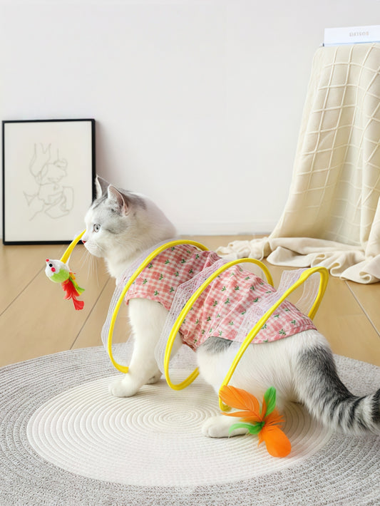 Collapsible Cat Tunnel Maze Toy