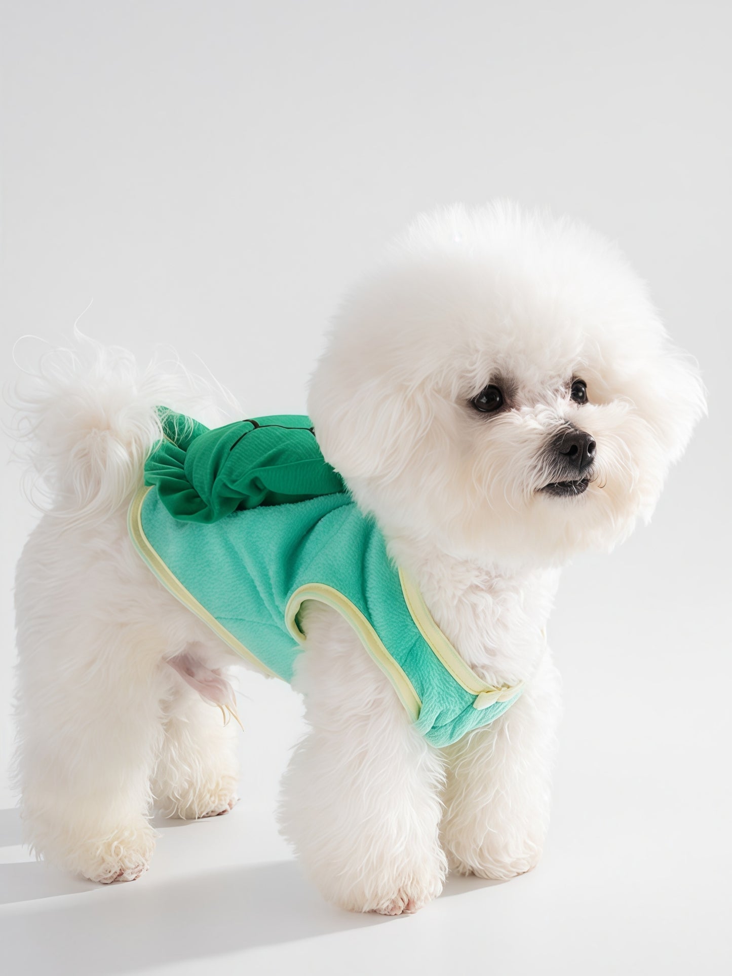 Cute Turtle Pet Costume