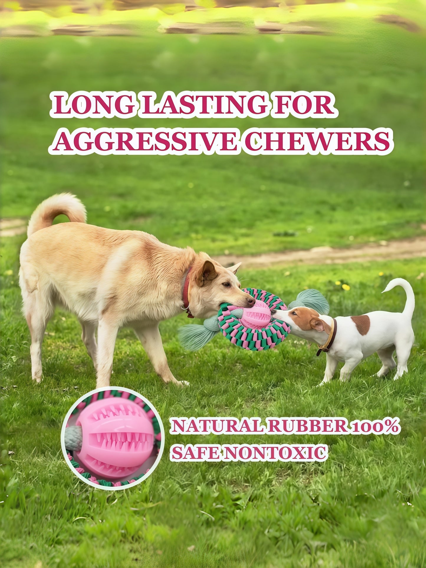 Superior Durable Dog Chew Toy