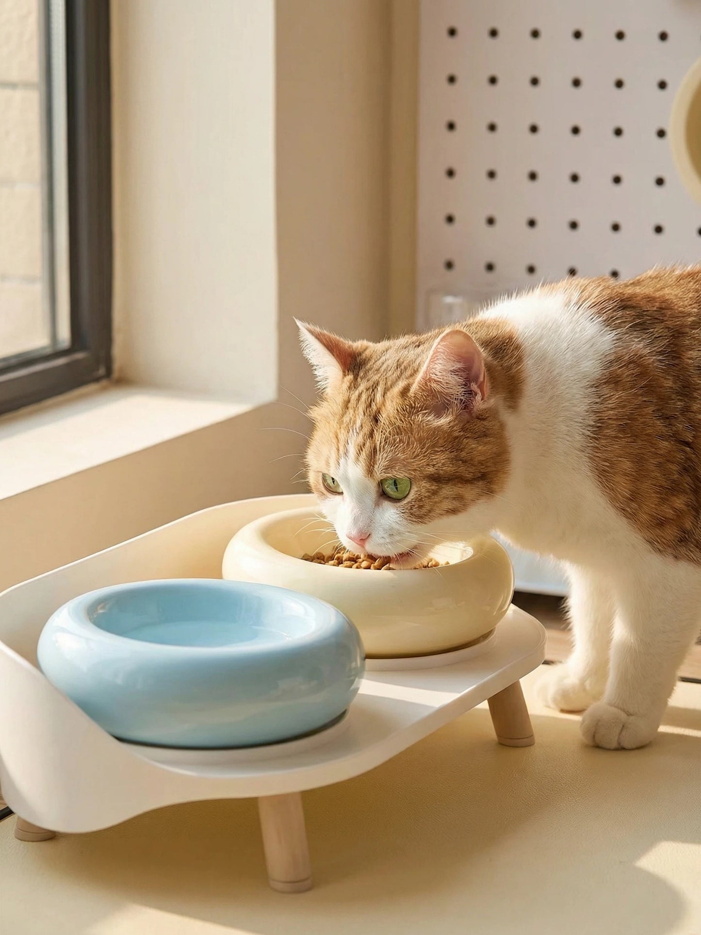 Elevated Ceramic Double Bowl Set with Splash Guard