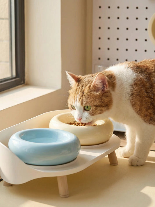 Elevated Ceramic Double Bowl Set with Splash Guard