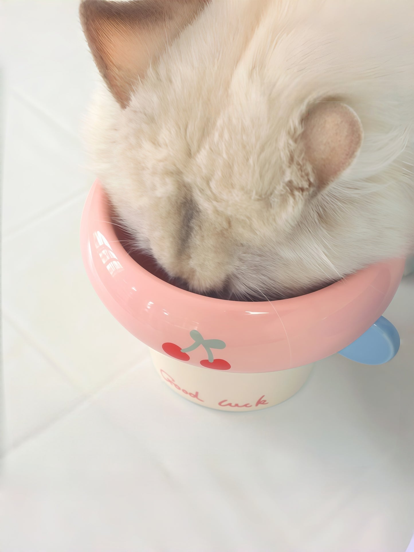 Korean-Style Elevated Ceramic Pet Bowl with Round
