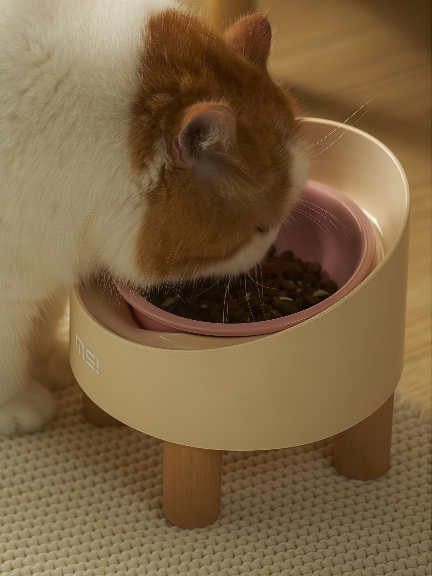 Elevated Tilted Ceramic Pet Bowl