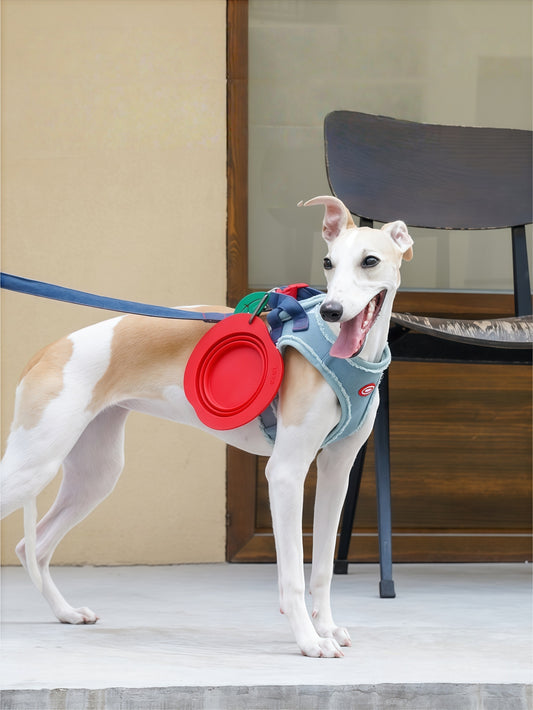 Fruit-Shaped Collapsible Silicone Pet Travel Bowl