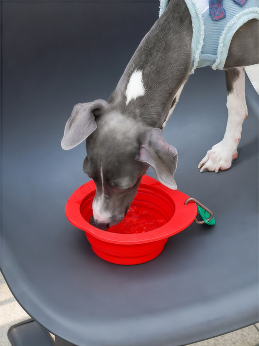 Fruit-Shaped Collapsible Silicone Pet Travel Bowl