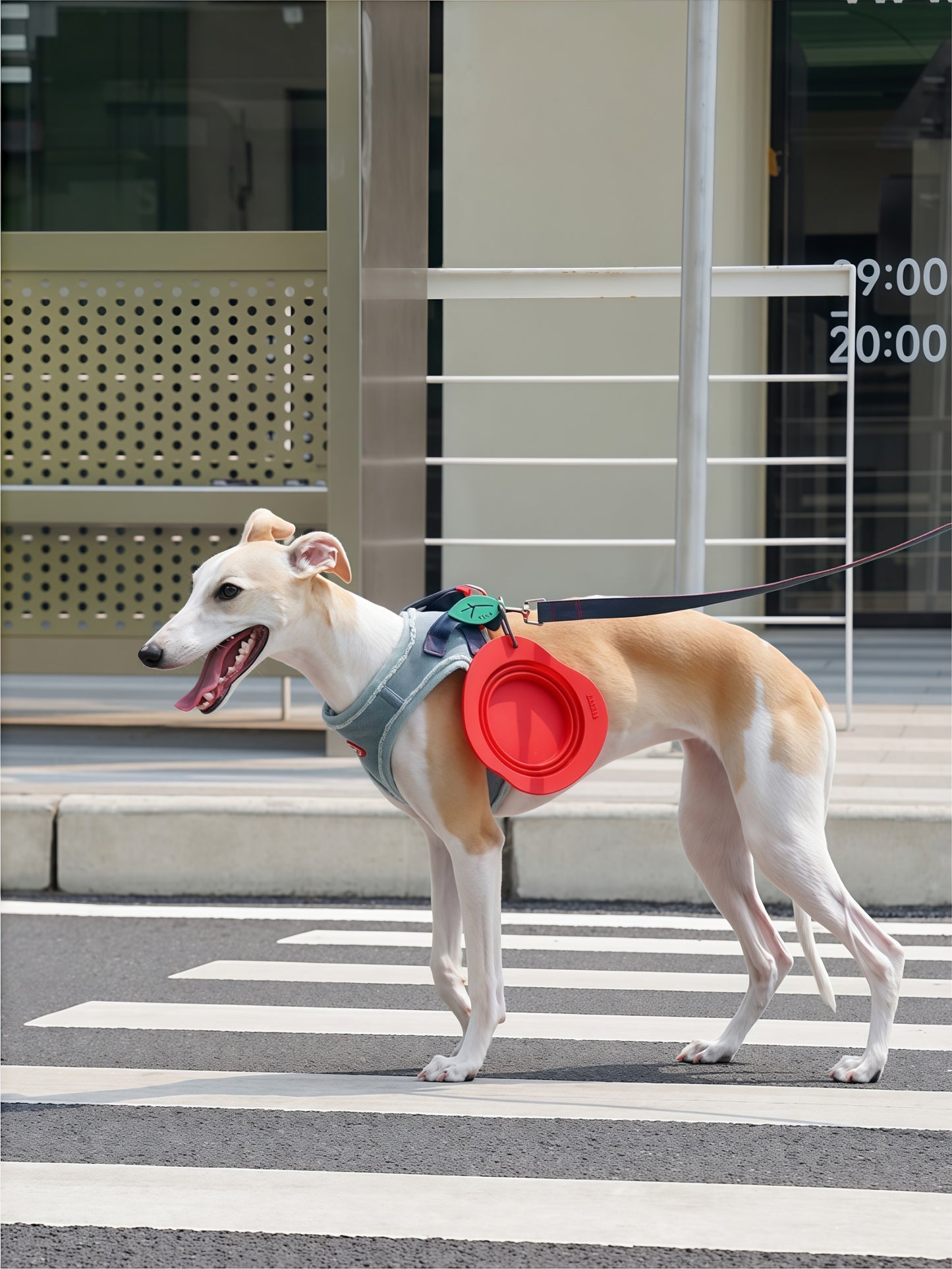 Fruit-Shaped Collapsible Silicone Pet Travel Bowl