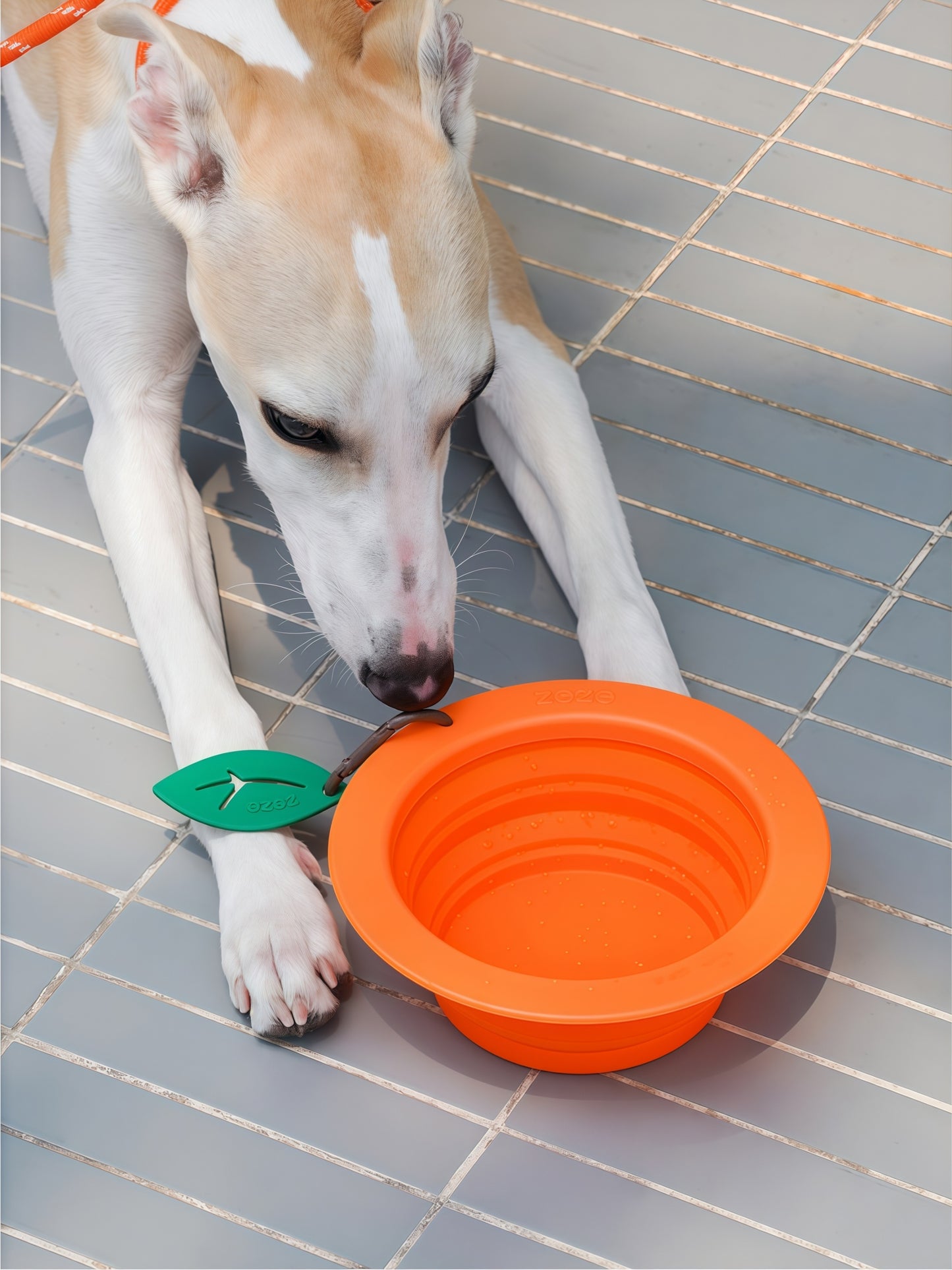 Fruit-Shaped Collapsible Silicone Pet Travel Bowl