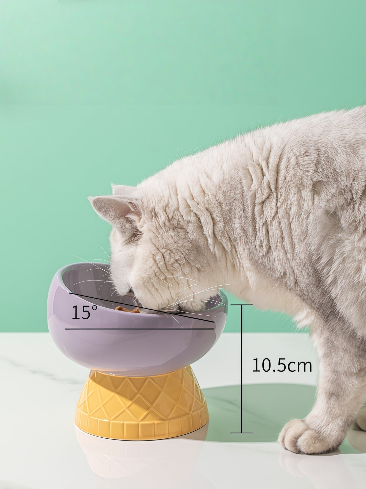 Ice-Cream Style Ceramic Cat Bowl